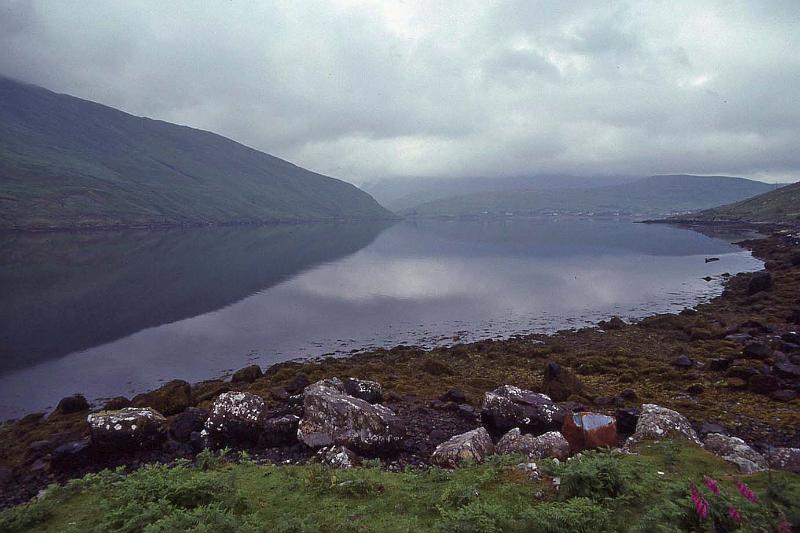 WT 2900 345-28 Ireland.jpg